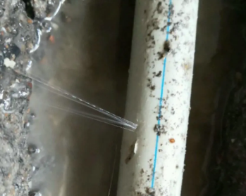 大悟卫生间测漏水多少钱